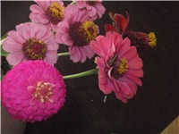 809ab7ae-Picture 002.jpg